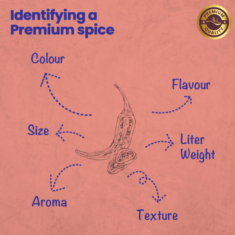 CRISTA Chilli Flakes - Image 5