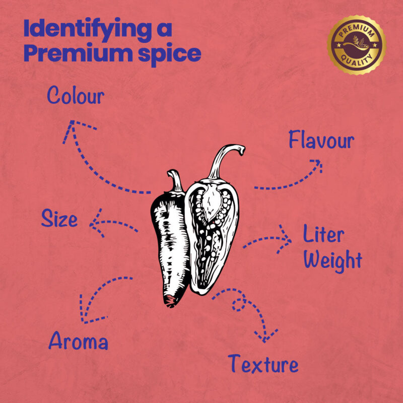 CRISTA Whole Kashmiri Chilli 100 gms - Image 11