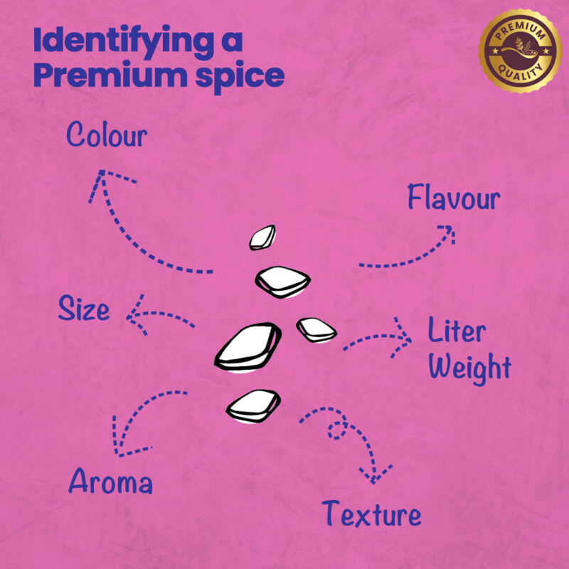 CRISTA Pink Salt - Image 5