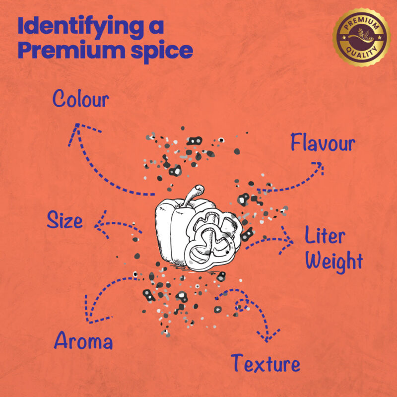 CRISTA Paprika Powder - Image 5