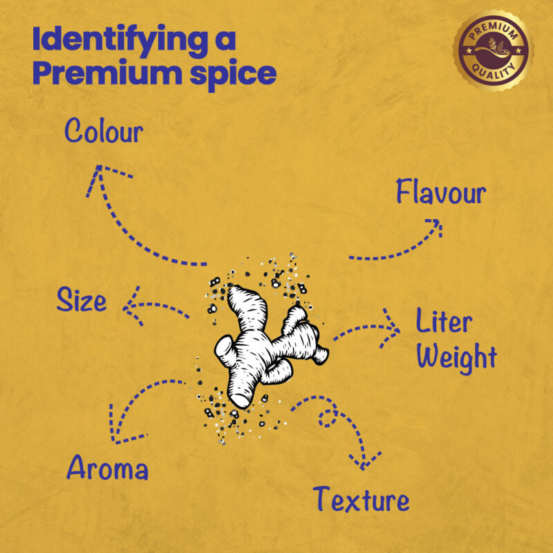 CRISTA Turmeric Powder 100 gms - Image 5