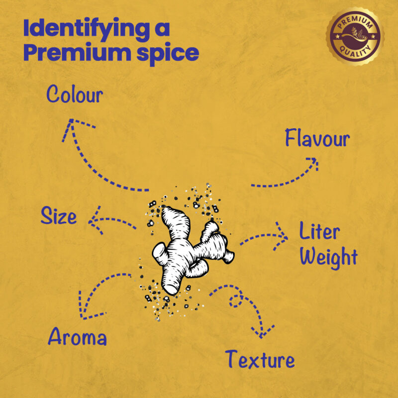 CRISTA Turmeric Powder 500 gms - Image 5