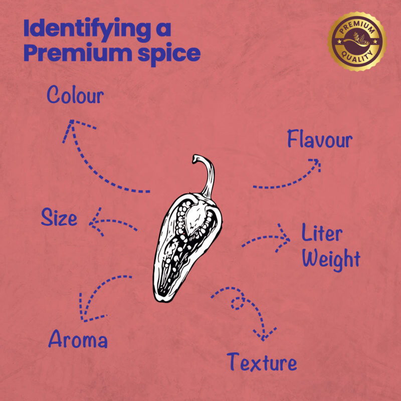 CRISTA Kashmiri Chilli Powder 100 gms - Image 11
