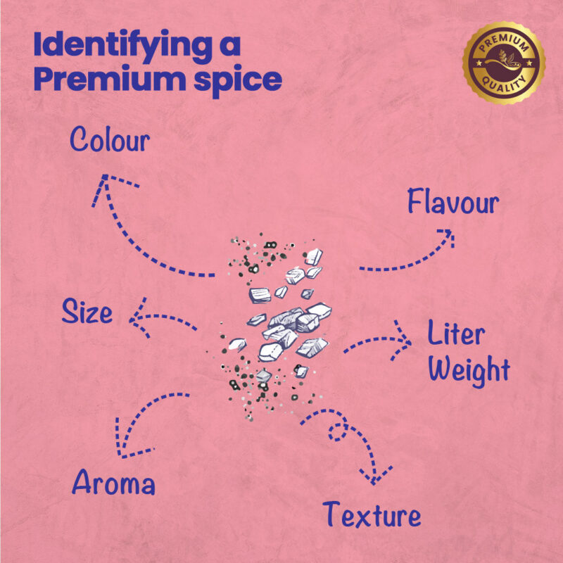 CRISTA Daily Ground Spices (Masala) Combo Pack - 1 - Image 7