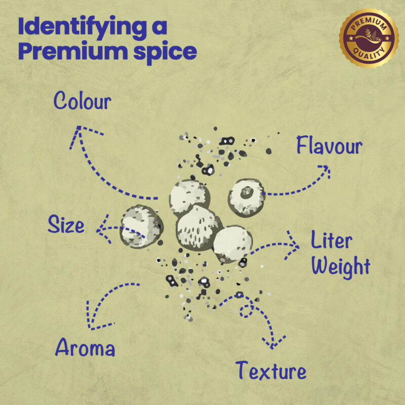 CRISTA White Pepper Powder and Nutmeg Powder Combo Pack - Image 2