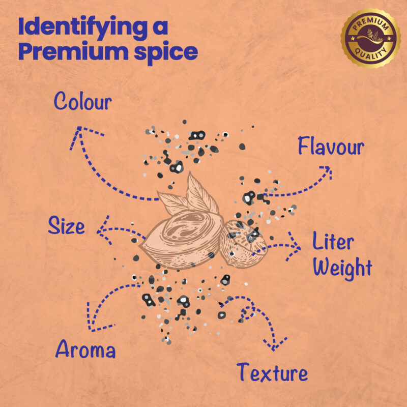 CRISTA White Pepper Powder and Nutmeg Powder Combo Pack - Image 3