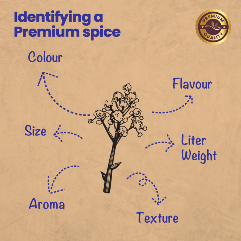 CRISTA Masala Dabba (Spice Box) Combo Pack - Image 14