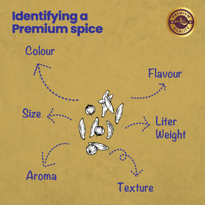 CRISTA Kitchen Ground Spices (Masala) Basics Combo Pack - 2 - Image 6