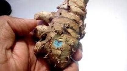 GABHISMEEN Original Kali Haldi or Black Turmeric or Narkachur or Narkachoor Raw and Natural (100 gram) - Image 2