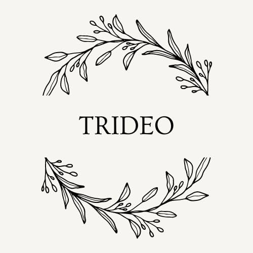 TRIDEO 15 YEARS WARRANTY Electronic Portable Digital LED Screen Luggage Weighing Scale|Baggage Weight Scale|with Hook for Travel, Fish Weighing, Black - Image 2