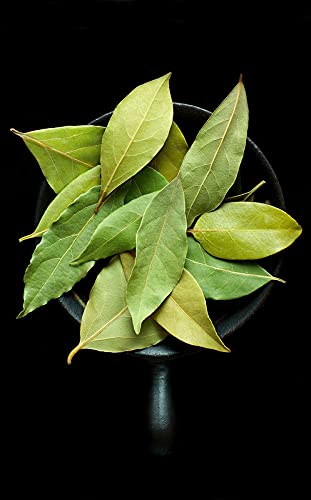 Originals™ Indian Bay Leaf | tej Patta (तेज पत्ता) | Healthy Indian Spices | 400 Grams - Image 3