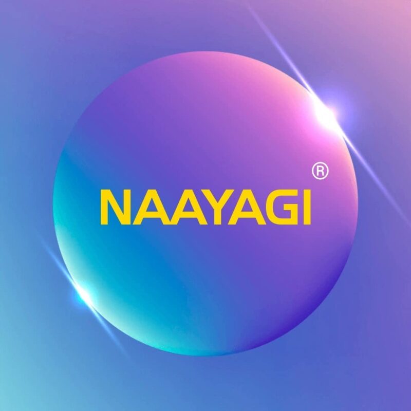 NAAYAGI - Iron Tawa, Iron PATHRI TAWA, Iron Fry pan, Multi use tawa - BUN PARATHA, dosa, roti, Fish Fry tawa, Flat with Border - 12 inch, 5 MM Thicker, Black Grey - Image 2