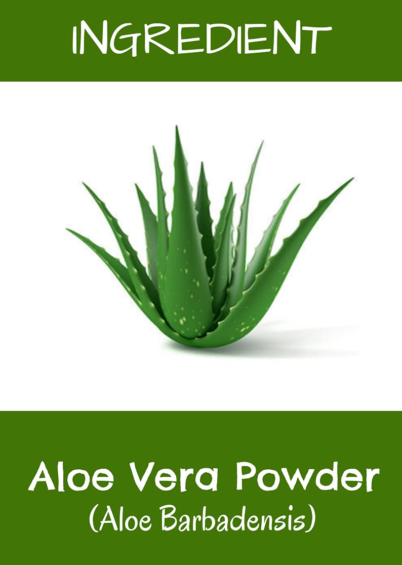 MR Ayurveda Aloe Vera Powder | Aloe Vera Powder Organic | Aloe Vera Powder for Face | Aloe Vera Powder for Skin | Aloe Vera Powder for Hair | No Added Chemicals - Set of 2 (200 Grams) - Image 4