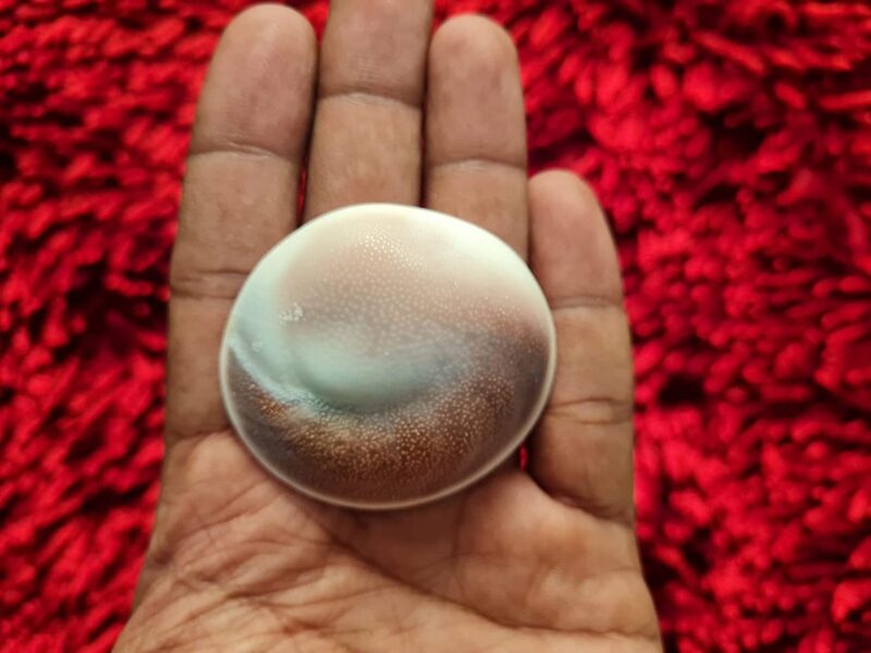 Jyotish Darshan Certified Gomati Chakra Big Size Original Natural Gomathi Chakram for Vishnu Mahalakshmi Pooja Stone |गोमती चक्र - Image 2