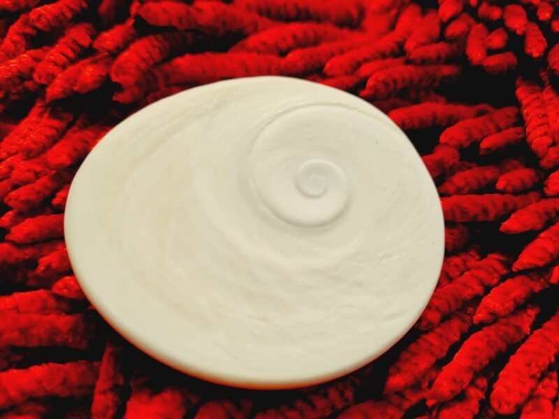 Jyotish Darshan Certified Gomati Chakra Big Size Original Natural Gomathi Chakram for Vishnu Mahalakshmi Pooja Stone |गोमती चक्र - Image 6