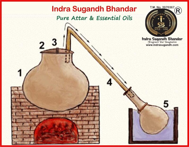 INDRA SUGANDH BHANDAR Attar For Men and Women Mysore Sandal 24 Hours Long Lasting & Alcohol Free Itra/Ittar 3ml Rollon Pack - Image 2
