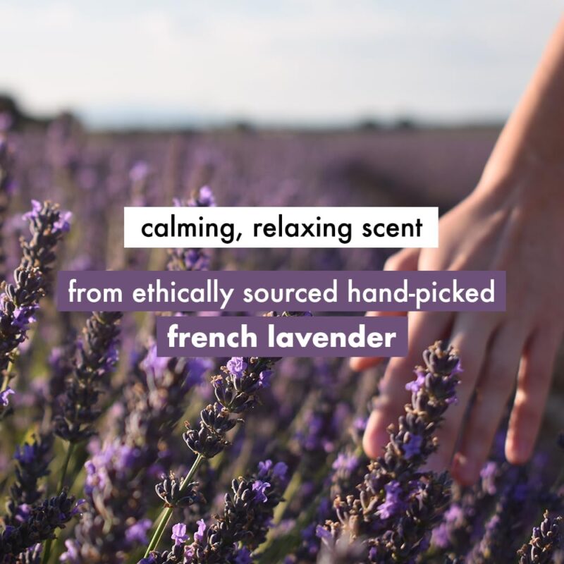 Love Beauty & Planet Argan Oil and Lavender Sulfate Free Smooth and Serene Shampoo|| No Parabens|| No Dyes|| 400ml - Image 4