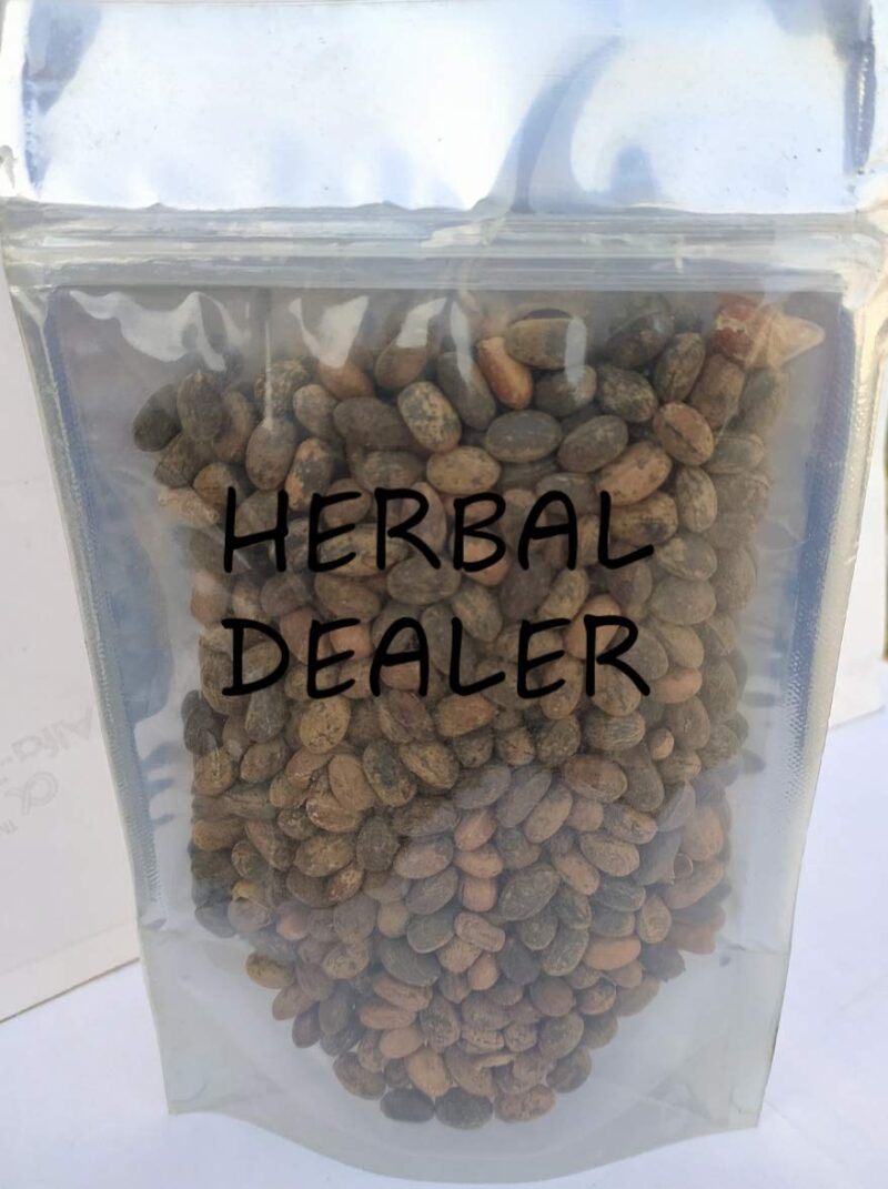 Jamalgota Seed|Croton Seed|Croton tiglium Seed|Jamalghota Seed|100 Gm