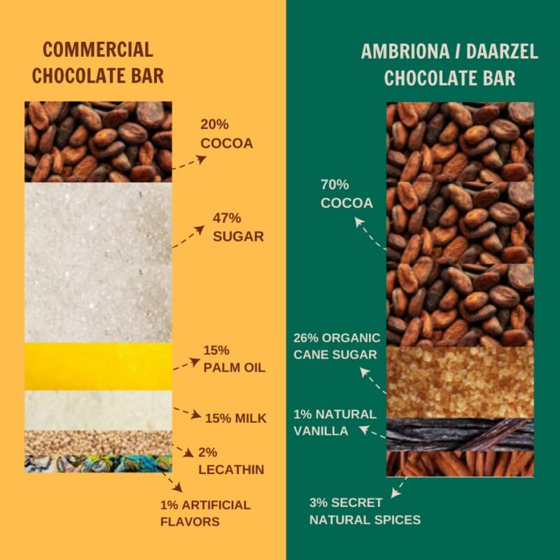 AMBRIONA Daarzel Vegan Dark Chocolate|70% Dark Gluten Free Pack Of 2 Blueberry And Strawberry|2 X 50Gm|Daarzel Bars - Image 4