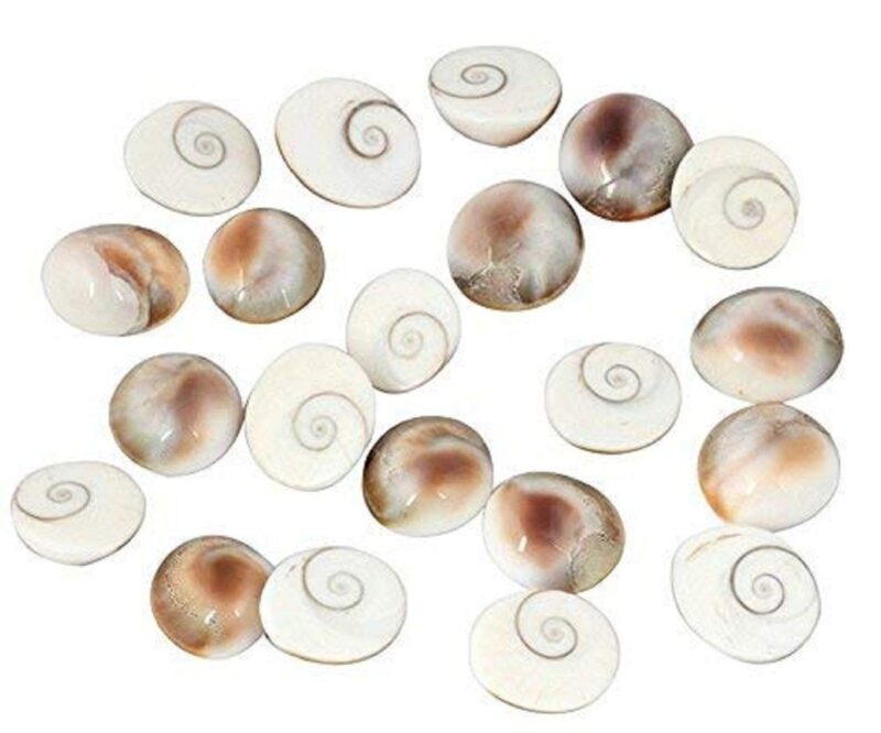 Maharishia Pack of 11 Pilli Kodi, 11 Kamal Gatta Seed and 11 Gomati Chakra, Multi Colour Colour, Pack of 33 by Pick Use, Make in India - Image 4