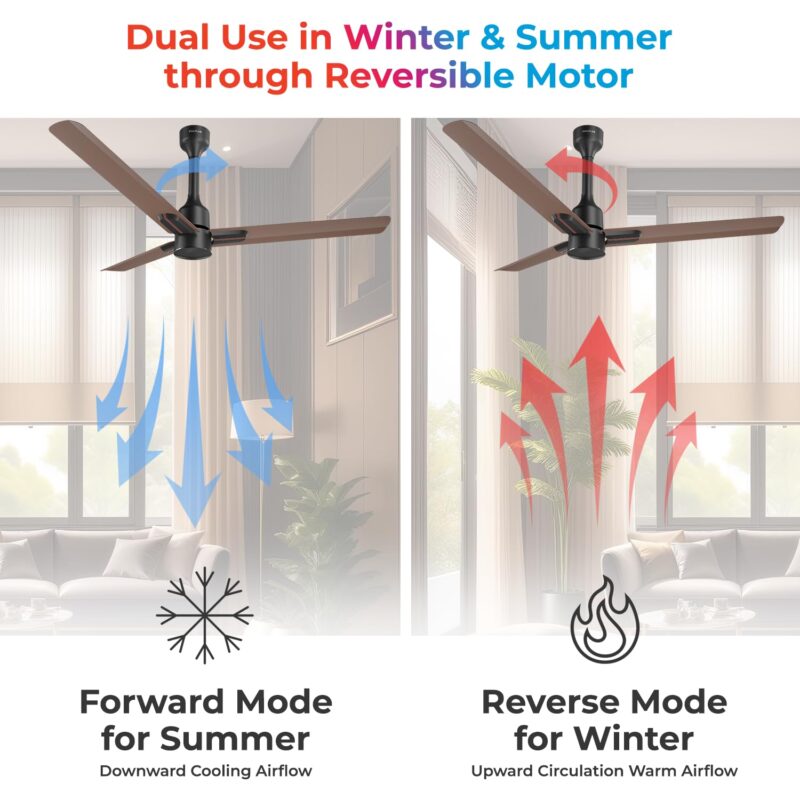 POLYCAB Wizzy Neo 1200mm 5-Star BLDC,Remote Ceiling fan for home| Free Installation| 55% Energy Saving, 100% Copper, High Air Delivery, 6 Speed Setting, Reversible & Timer| 4-yr Warranty【Brown Copper】 - Image 2