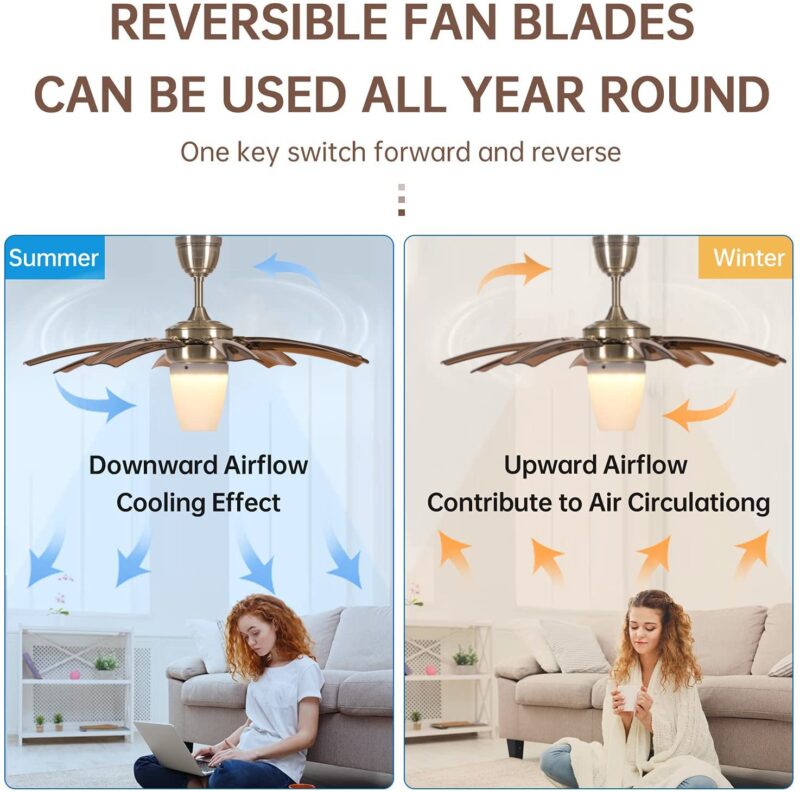 oltao Susan Chandelier Ceiling Premium Deluxe Fan - Golden Finish | with BLDC Motor, Reverse Air Flow for Summers & Winters, 8 Retractable Blades, LED Light & Remote Control - Image 8