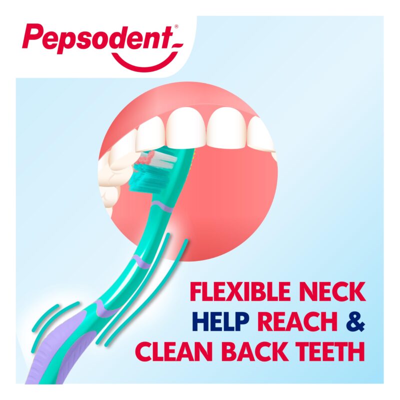 Pepsodent Gum Expert Toothbrush (Buy 2 Get 1 Free) - 3pc - Image 8