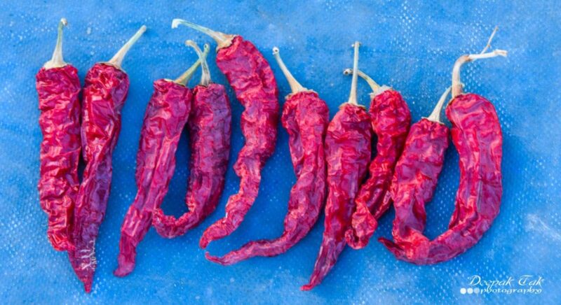 Shirish Masala Whole Mathania Red Chilli (Lal Mirch)(Stemless) 1 Kg,Sortex Clean, 70 Years Of Trust - Image 6