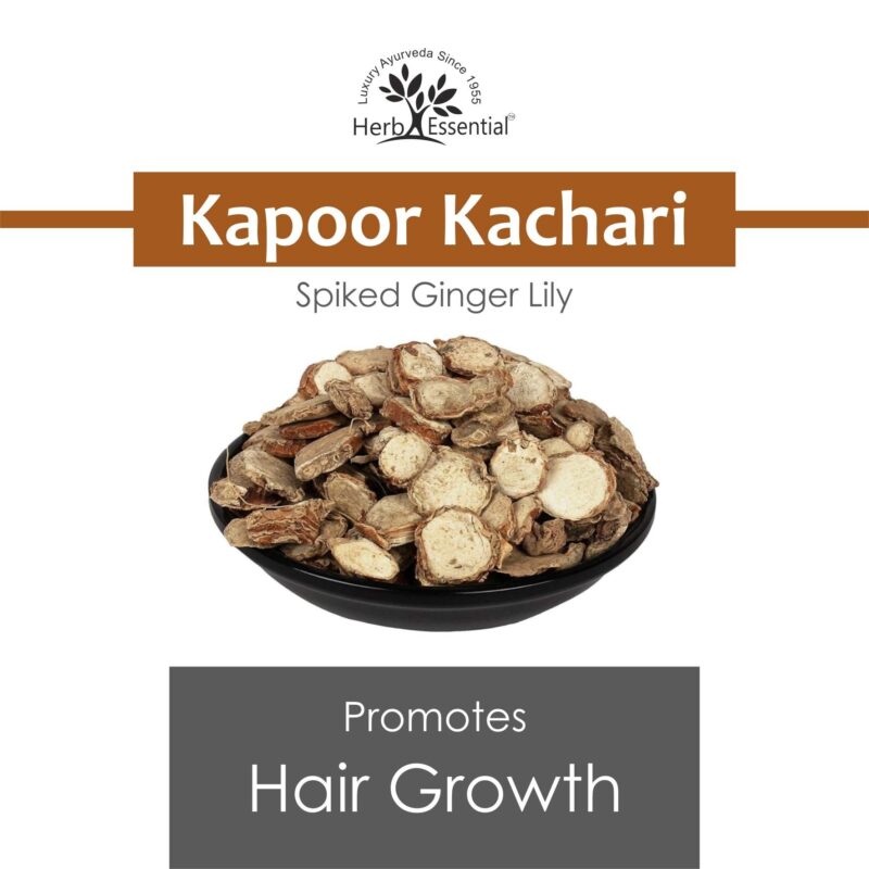 Herb Essential Kapoor Kachari Powder,100 g | For Hair and Skin | Promotes hair growth | Improves Skin Health - Image 4