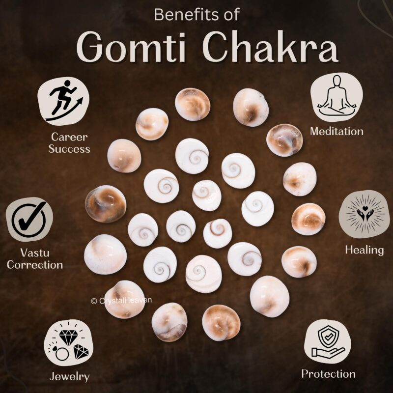 Certified Gomati Chakra Original River Stones - 11 Pieces Gomti Chakra Original from Gomathi River Dwarka (11 Pieces) - Image 7