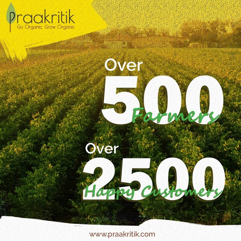 Praakritik Organic Extra Virgin Coconut Cold Pressed Oil 500ml | Highly Moisturising and Nourishing| Good for Digestion | Maintains Oral Health | Rejuvenates Cracked skin and Lips - Image 4