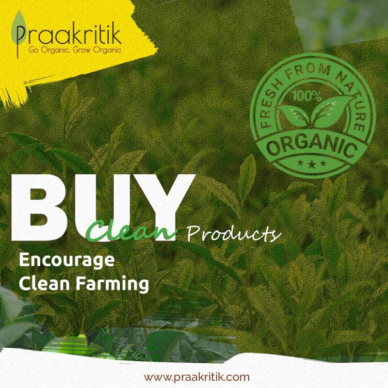 Praakritik Organic Extra Virgin Coconut Cold Pressed Oil 500ml | Highly Moisturising and Nourishing| Good for Digestion | Maintains Oral Health | Rejuvenates Cracked skin and Lips - Image 3