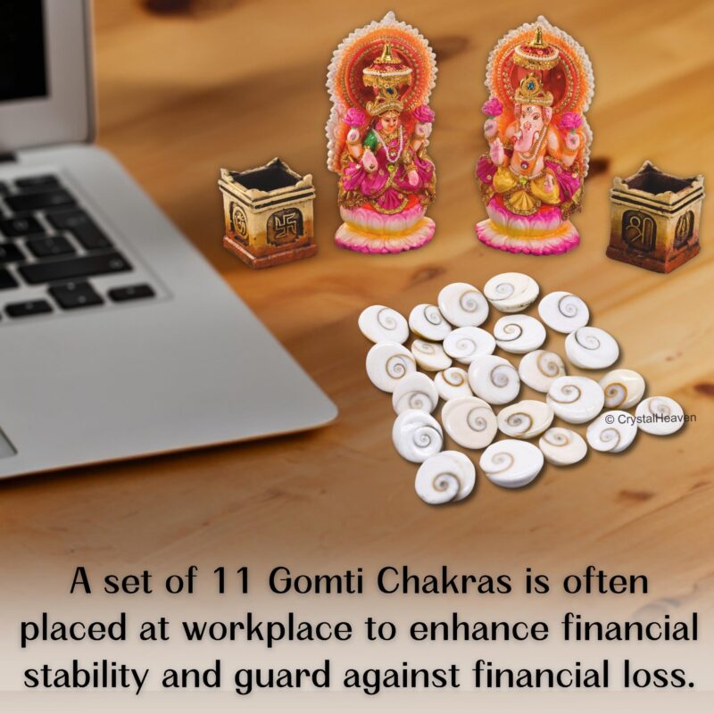 Certified Gomati Chakra Original River Stones - 11 Pieces Gomti Chakra Original from Gomathi River Dwarka (11 Pieces) - Image 5
