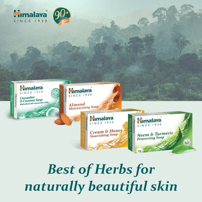 Himalaya Herbals Protecting Neem and Turmeric Soap, 75gm - Image 2
