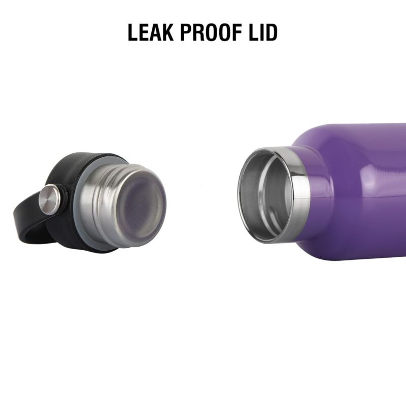 Aqua Bliss Flask, Vacusteel Water Bottle - Image 49