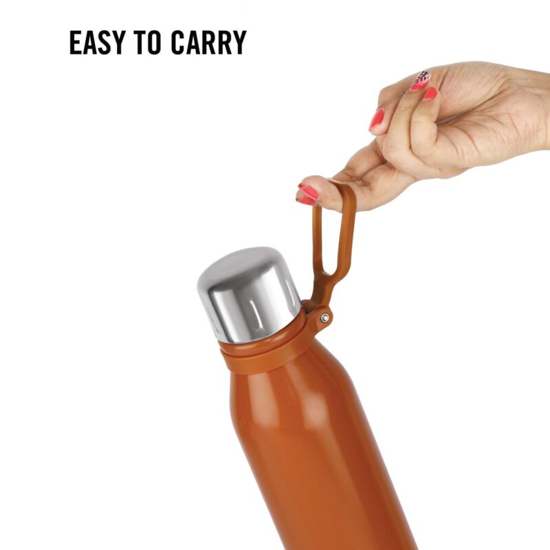Bentley Flask, Vacusteel Water Bottle - Image 21