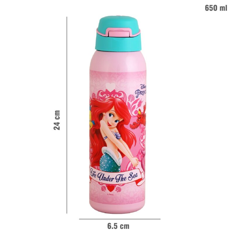 Gym-Star Toons Hot & Cold Stainless Steel Kids Water Bottle, 650ml - Image 21