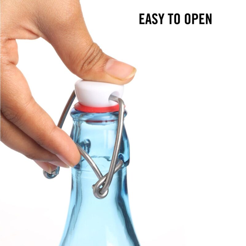 Aquaria Glass Water Bottle, 1000ml - Image 29