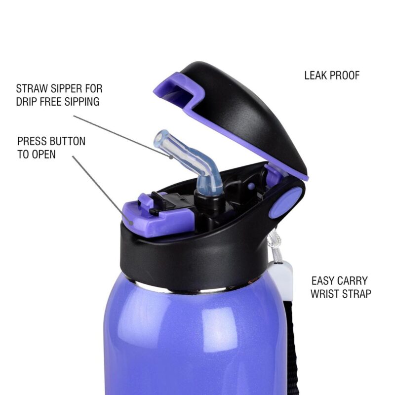 Gym Star Flask, Vacusteel Water Bottle, 650ml - Image 24