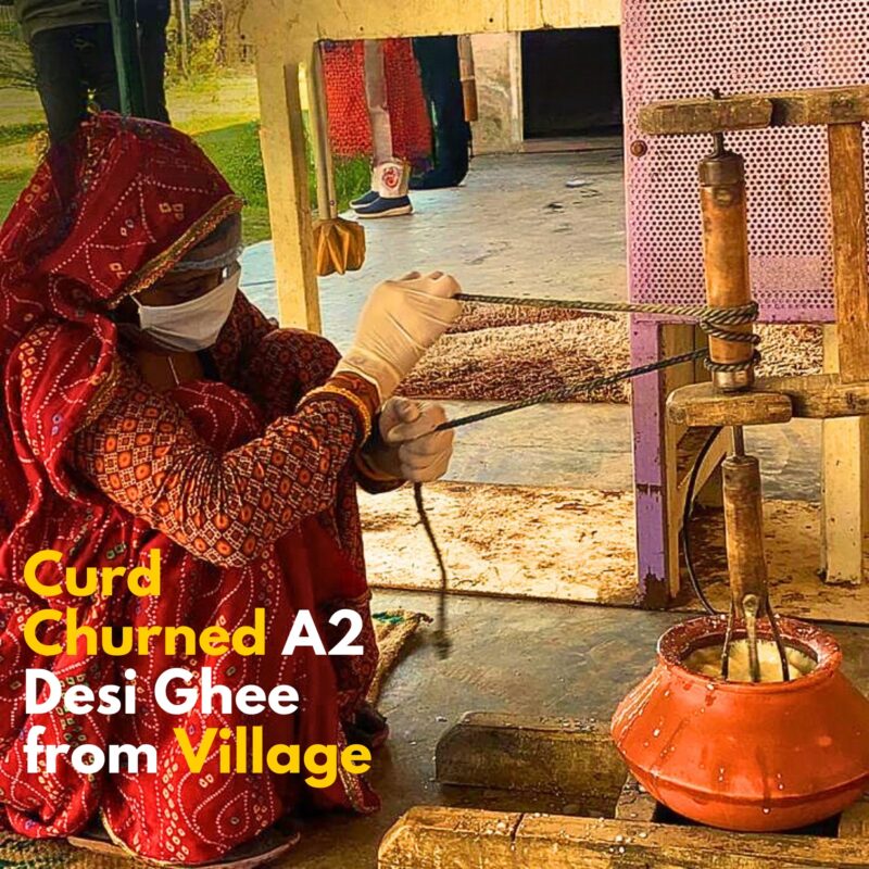 Village Company A2 Cow Desi Ghee 500ML | Gir Ghee Vedic Bilona Method | Organic Pure Natural | Two Way Curd Churned - Best Farm Fresh Grass Fed Cattle Milk | India Lab Certified | Glass Jar Half Litre - Image 4