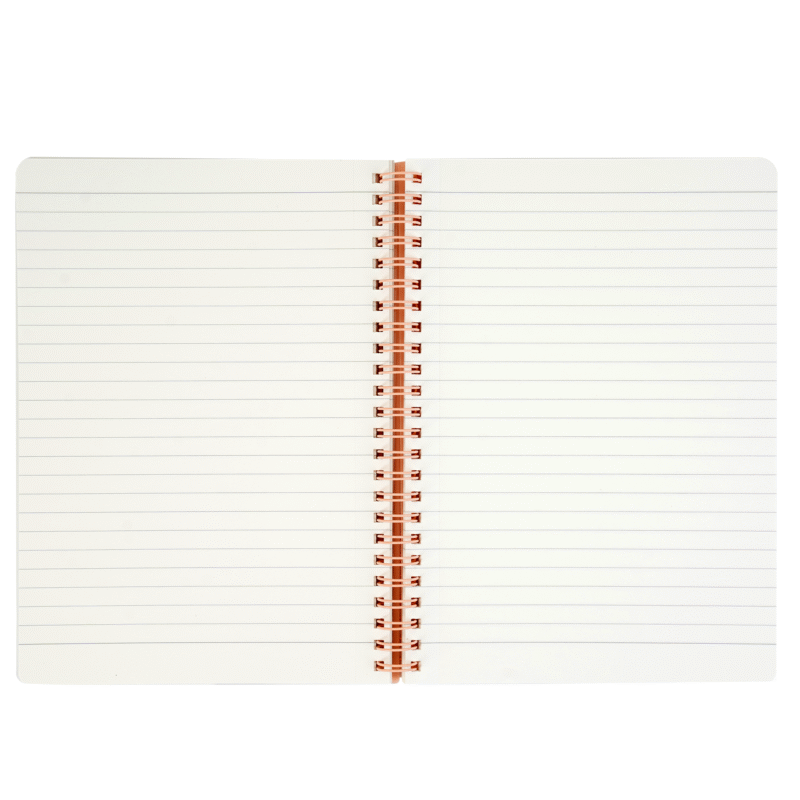 BRUSTRO Notes A5 Size,1 Subject Ruled Notebooks (Set of 5),80 sheets/160 pages,70 gsm ivory paper, Caramel/Aqua/Lime/Blush/Slate Cover, - Image 4