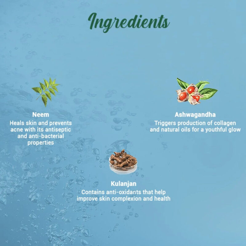Biotique Fresh Neem Purifying Face Wash, Prevents Pimples For All Skin Types - Image 4