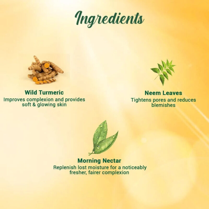 Biotique Morning Nectar Sun Protect Moisturizer, SPF - 30+ - 120 ml - Image 5