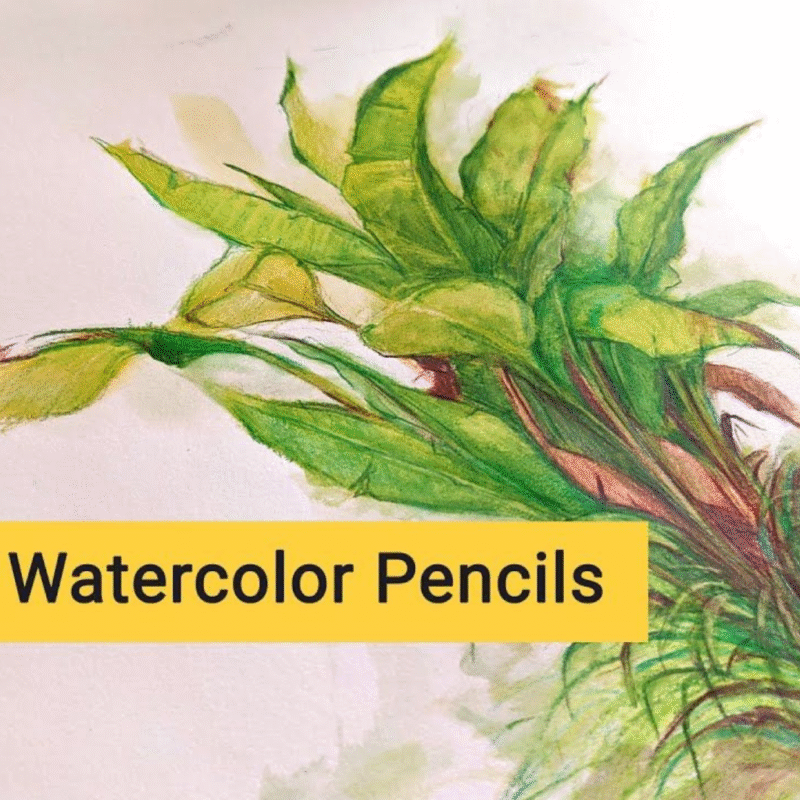BRUSTRO Artists Watercolour Pencil Set of 72 in Elegant tin Box - Image 4
